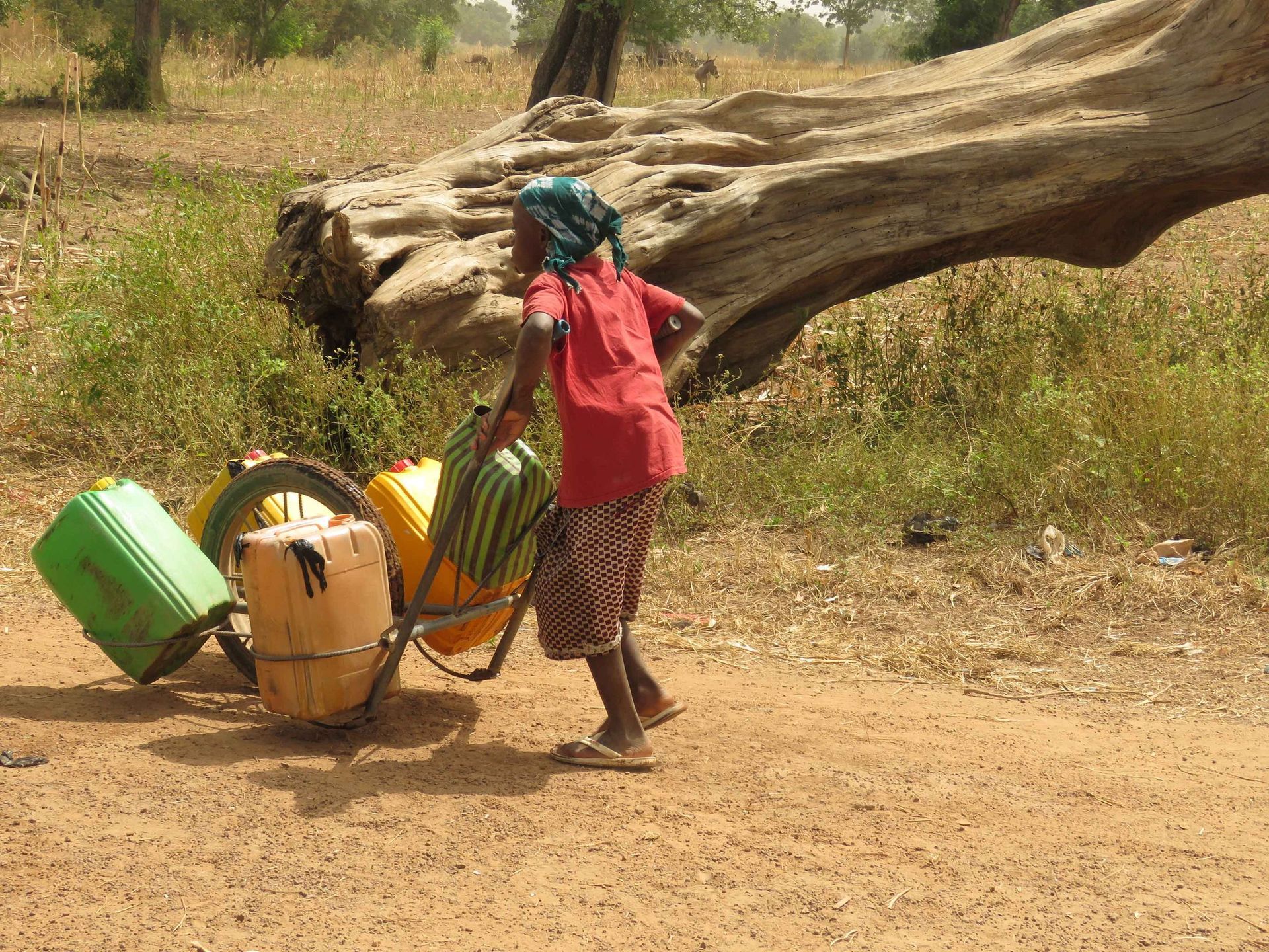 Aimer-Agir Association Suisse Raoul Follereau - Nouvelle Planète
