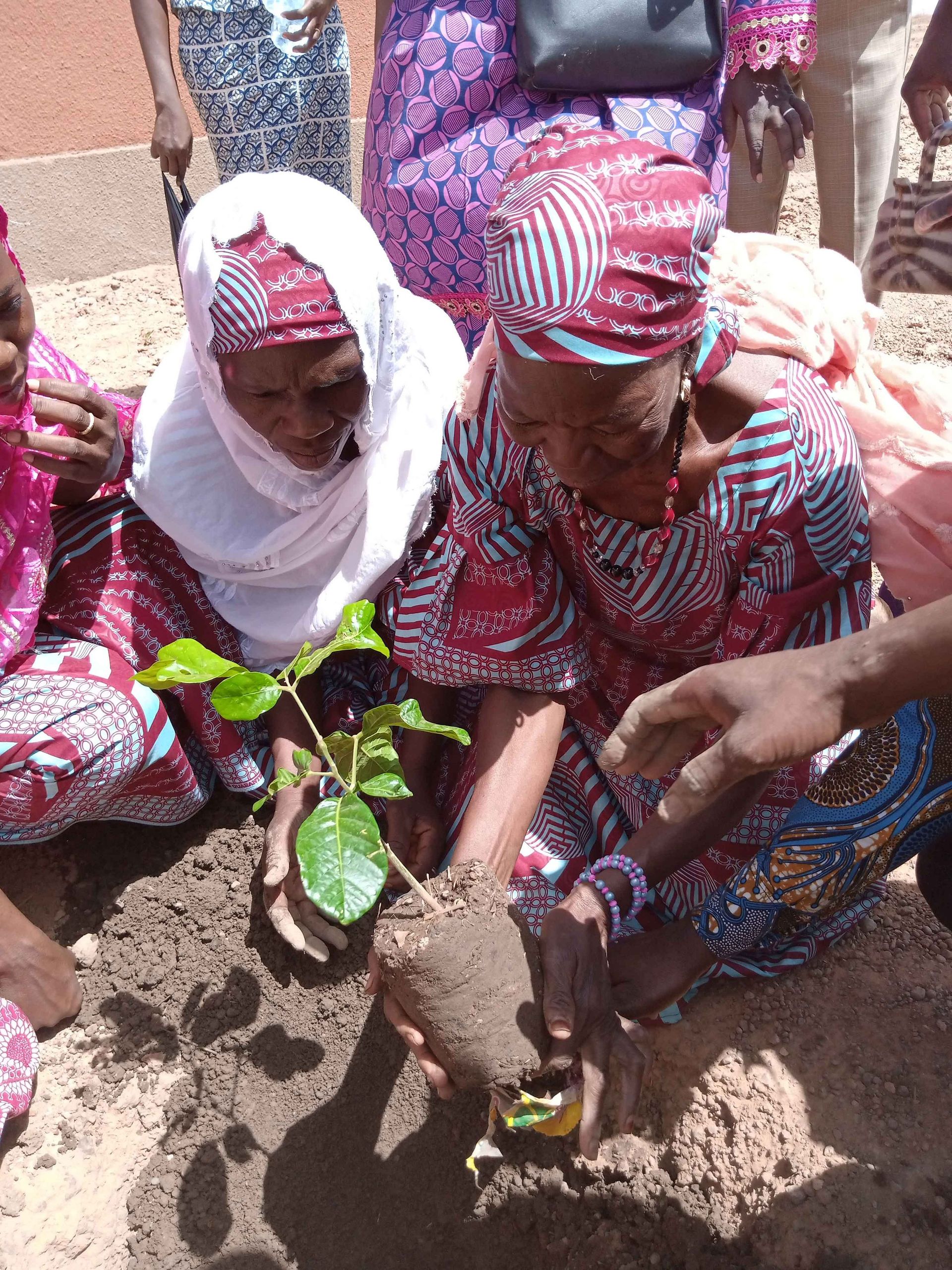 Aimer-Agir, Association suisse Raoul Follereau| Écublens