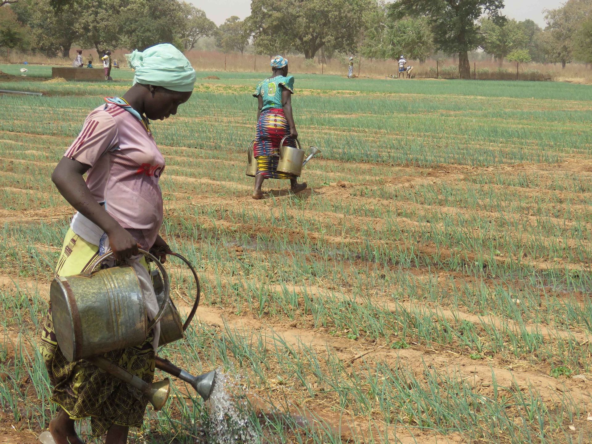 Aimer-Agir Association Suisse Raoul Follereau - Nouvelle Planète