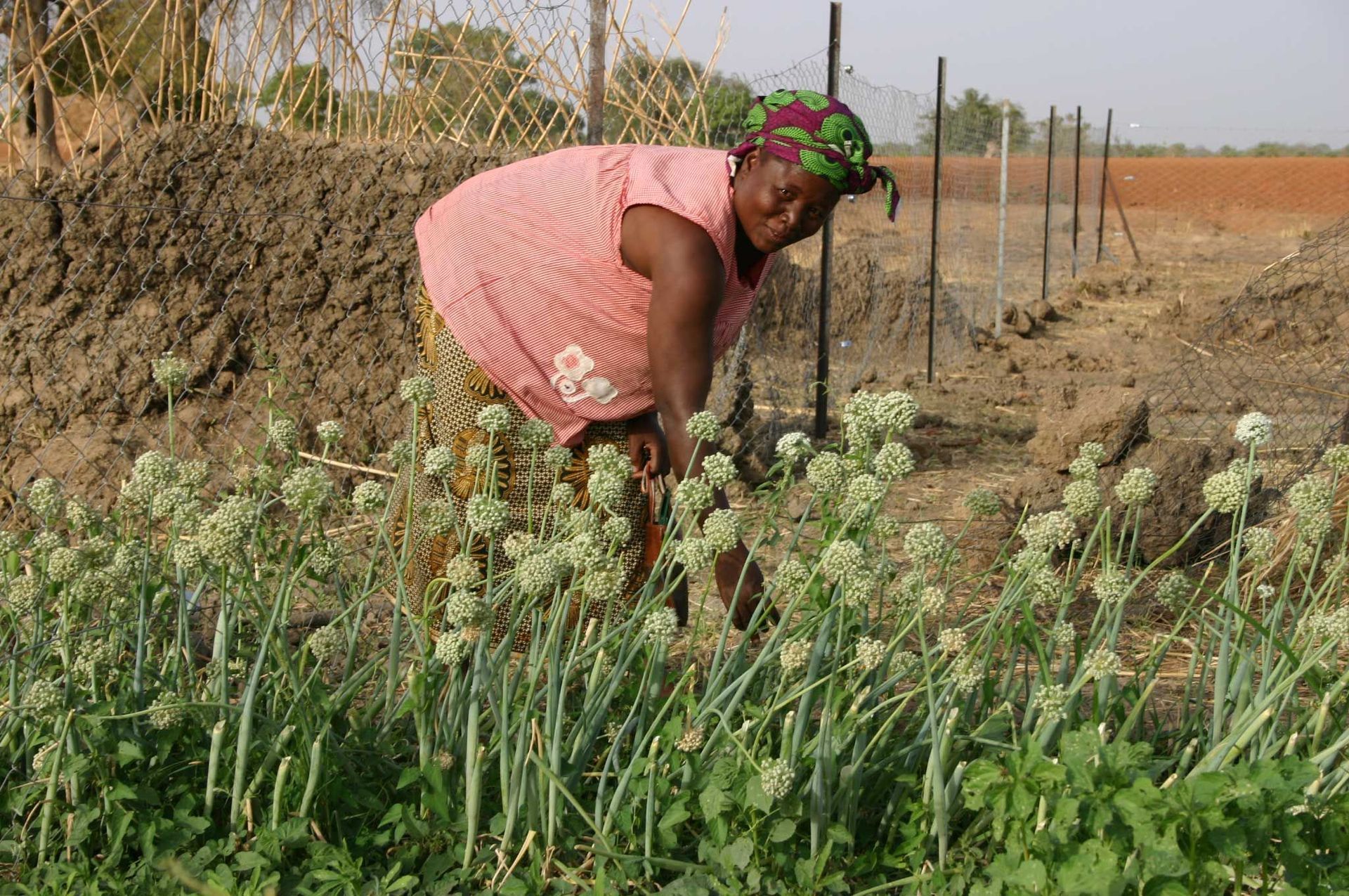 Aimer-Agir Association Suisse Raoul Follereau - Nouvelle Planète