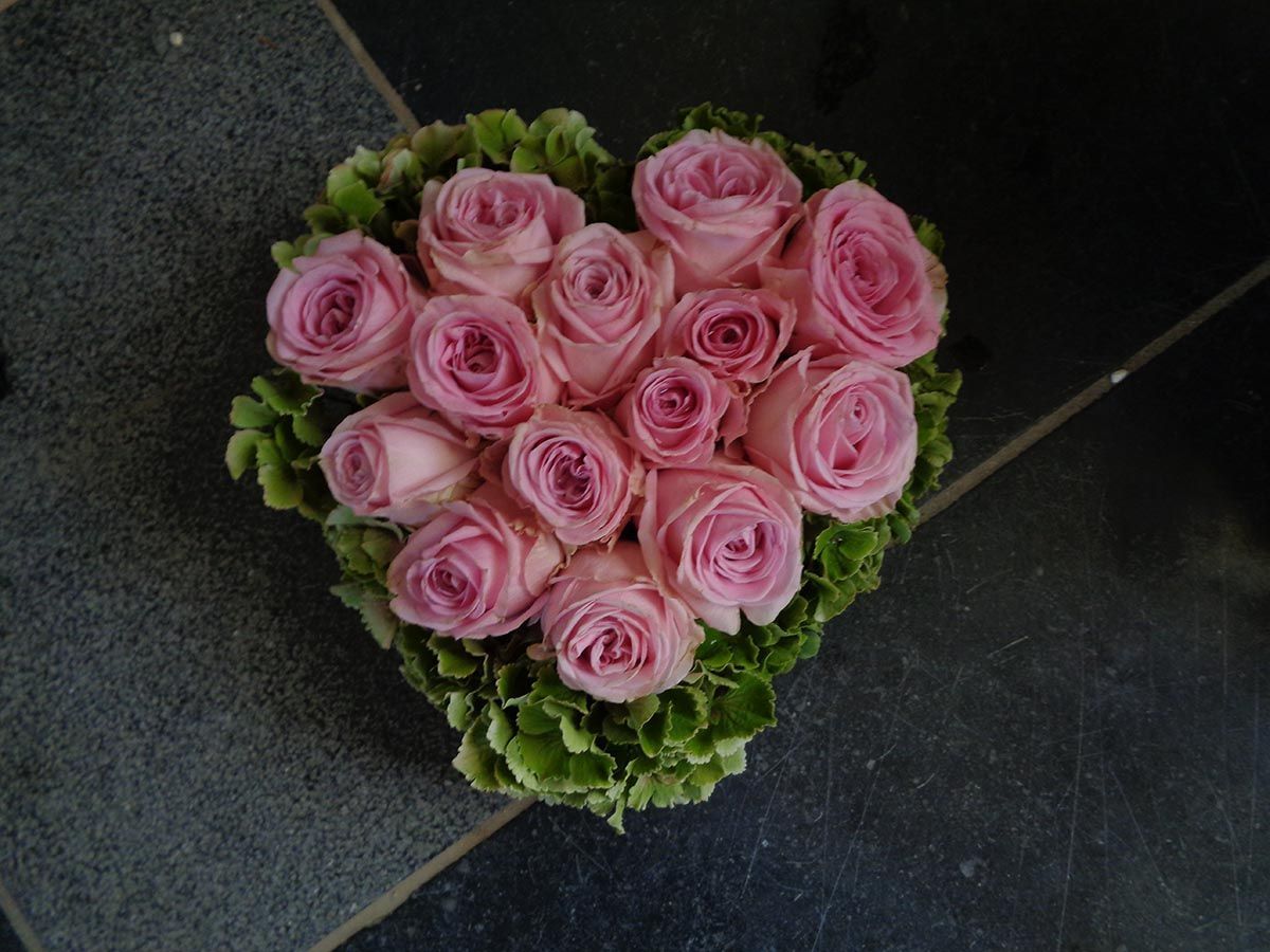 Rosengesteck rosa