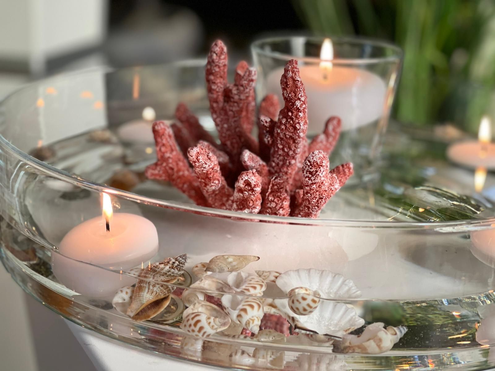 Seebestattung | Bestattungshaus Hackmann