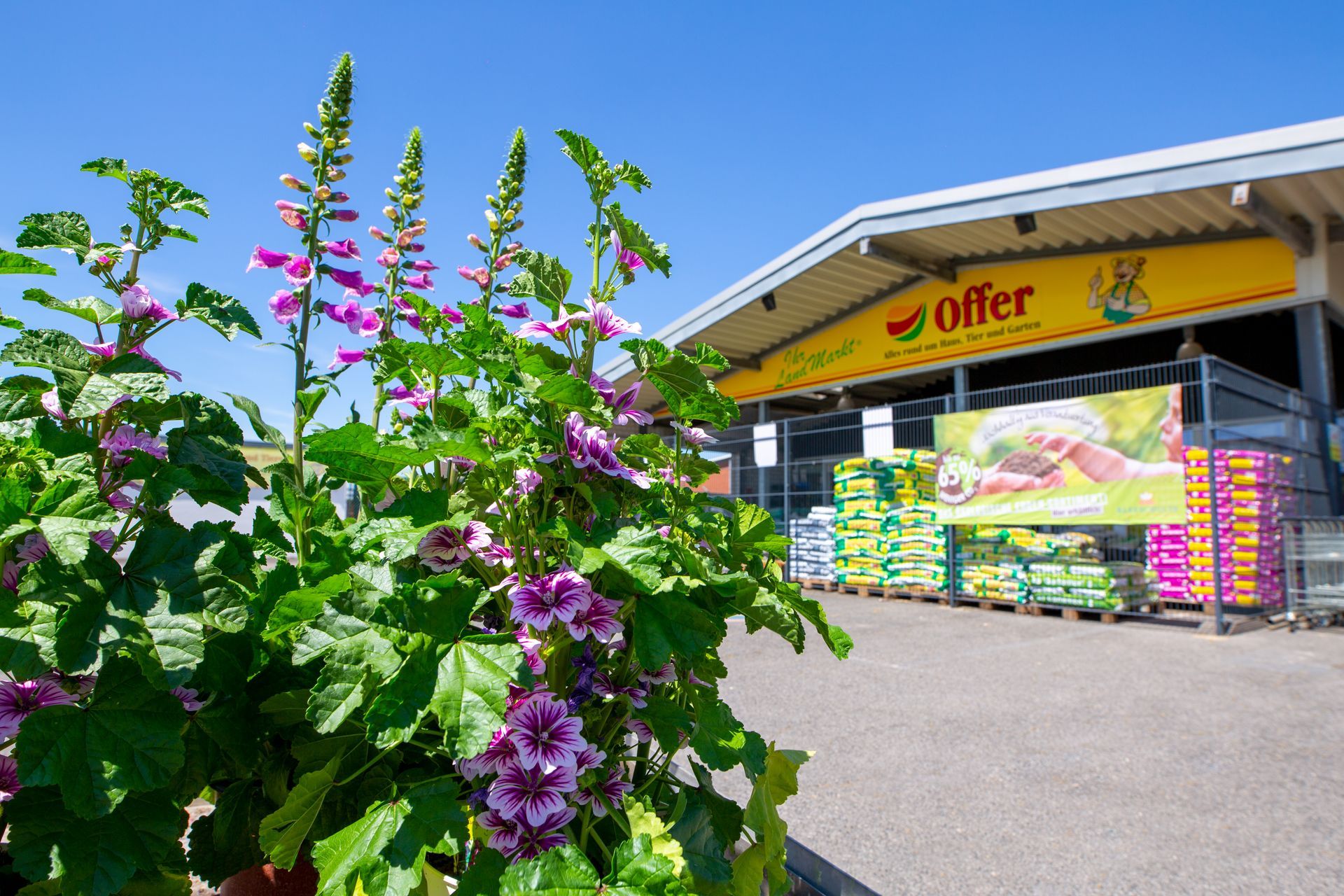 Mitarbeiterin von Franz Offer GmbH & Co. KG Landhandel Offer hält Futternapf in ihrer Hand