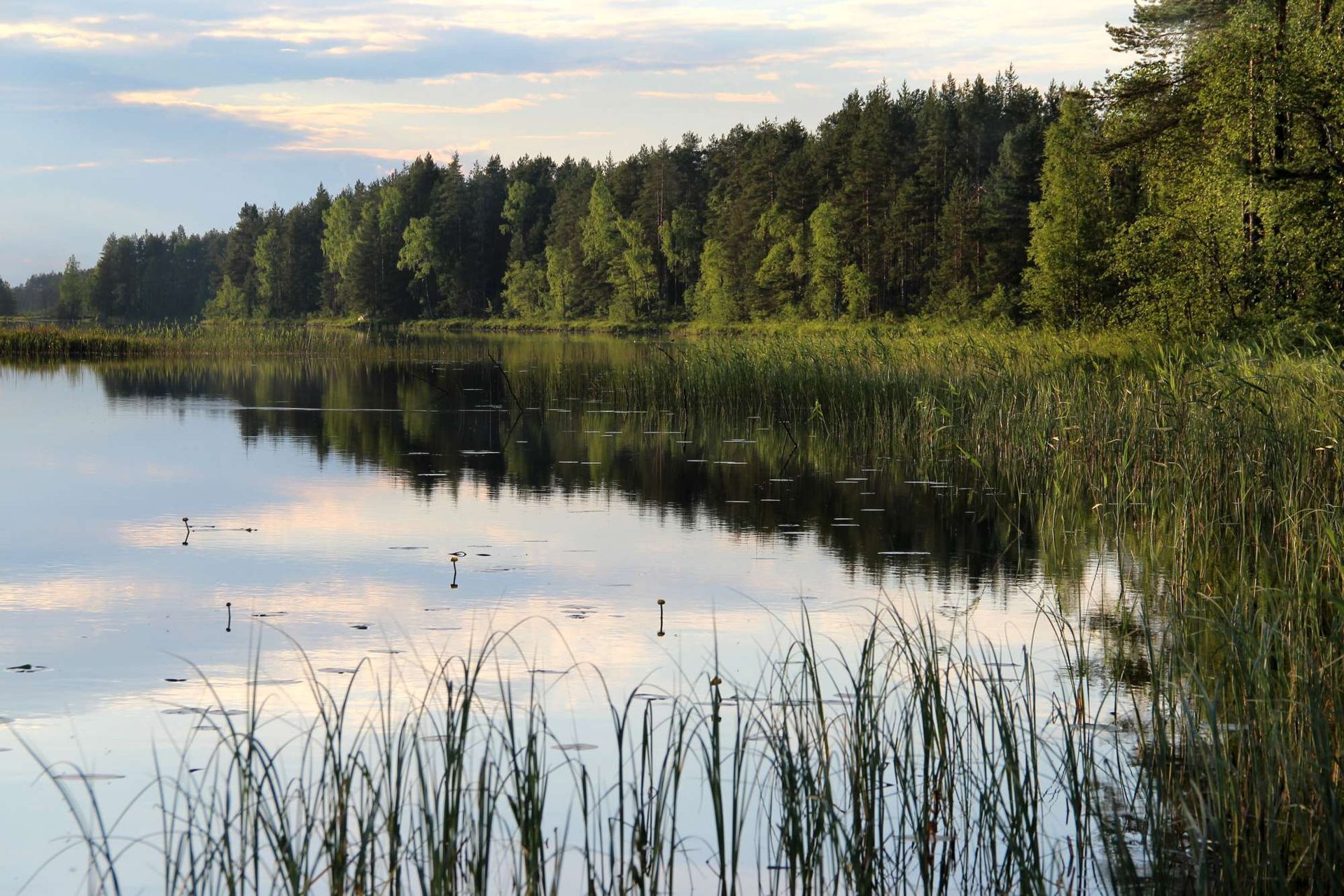 Mielenterveyskuntoutus, Hoitokoti Kangaskartano, Viitasaari