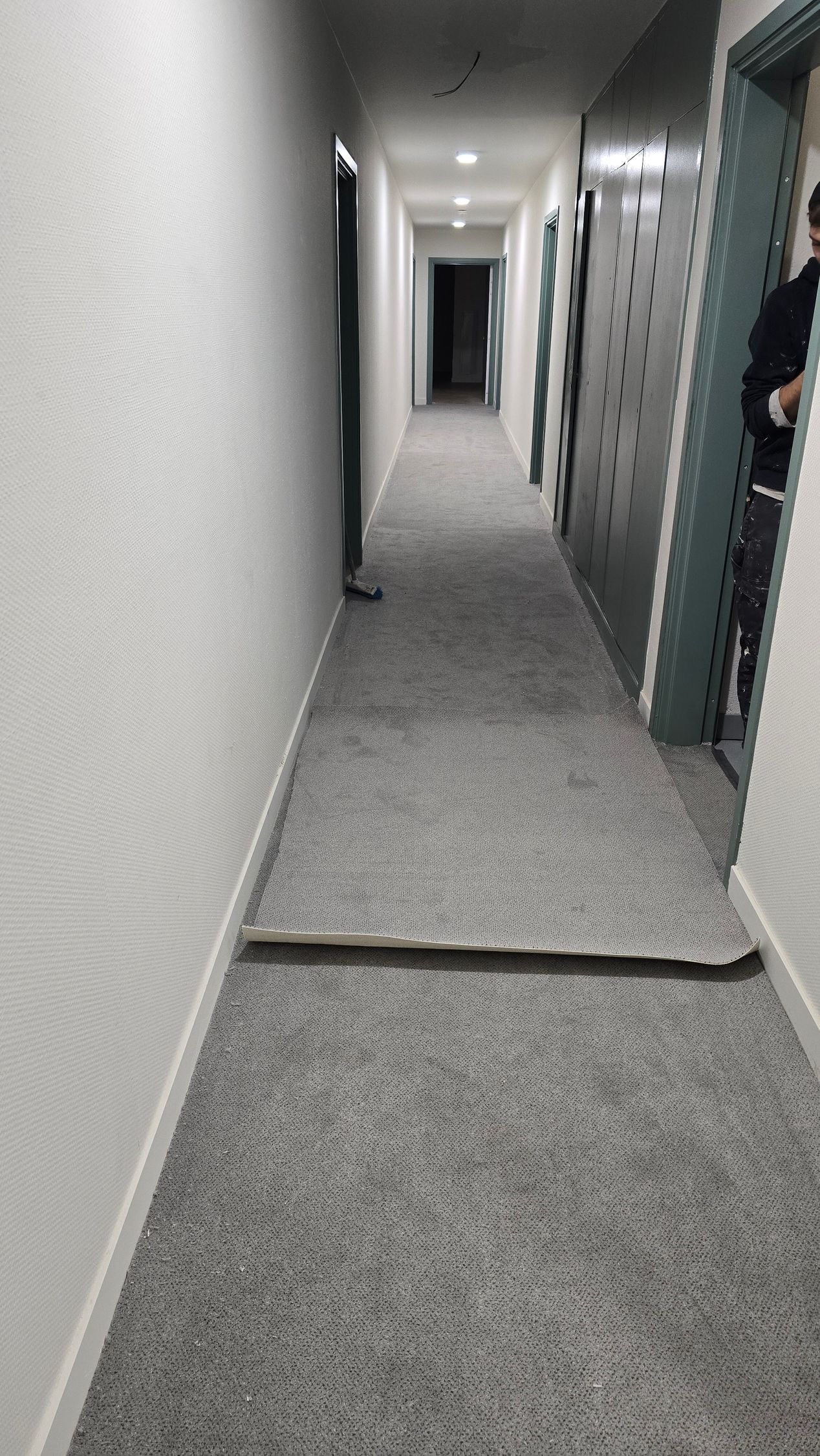 Couloir d'appartement sombre avec un joint de sol surélevé.