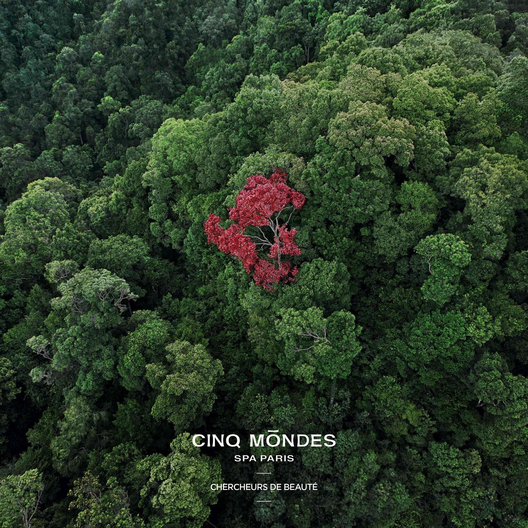 Cinq Mondes