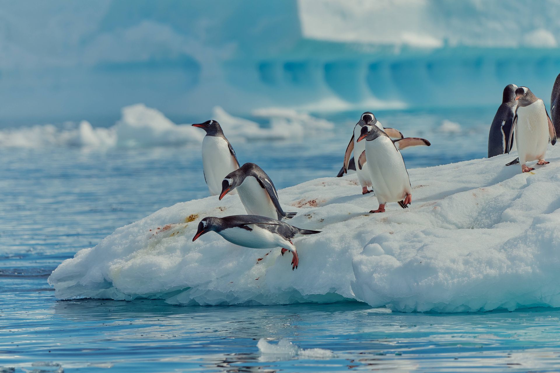 Jordan Mann Senior Travel Consultant