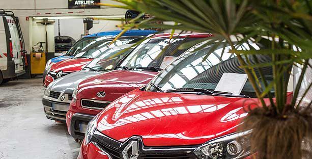 rangée de voitures d'occasion et palmier