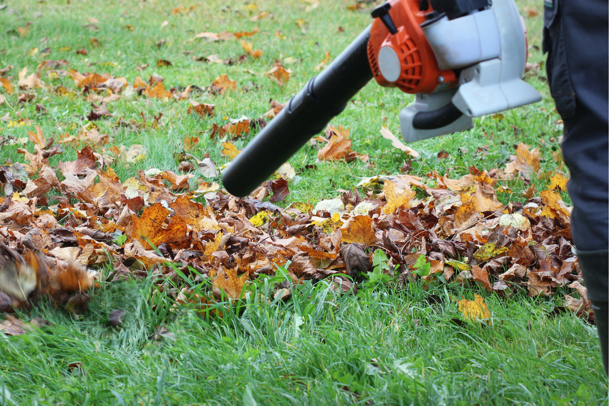 Personne utilisant un souffleur de feuilles sur une pelouse avec des feuilles tombées.