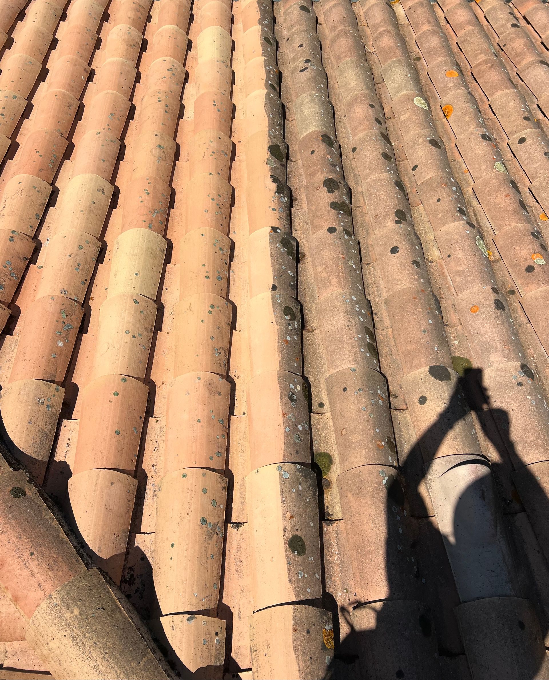 Nettoyage toiture avec traitement anti mousse et hydrofuge sur ensues la redonne