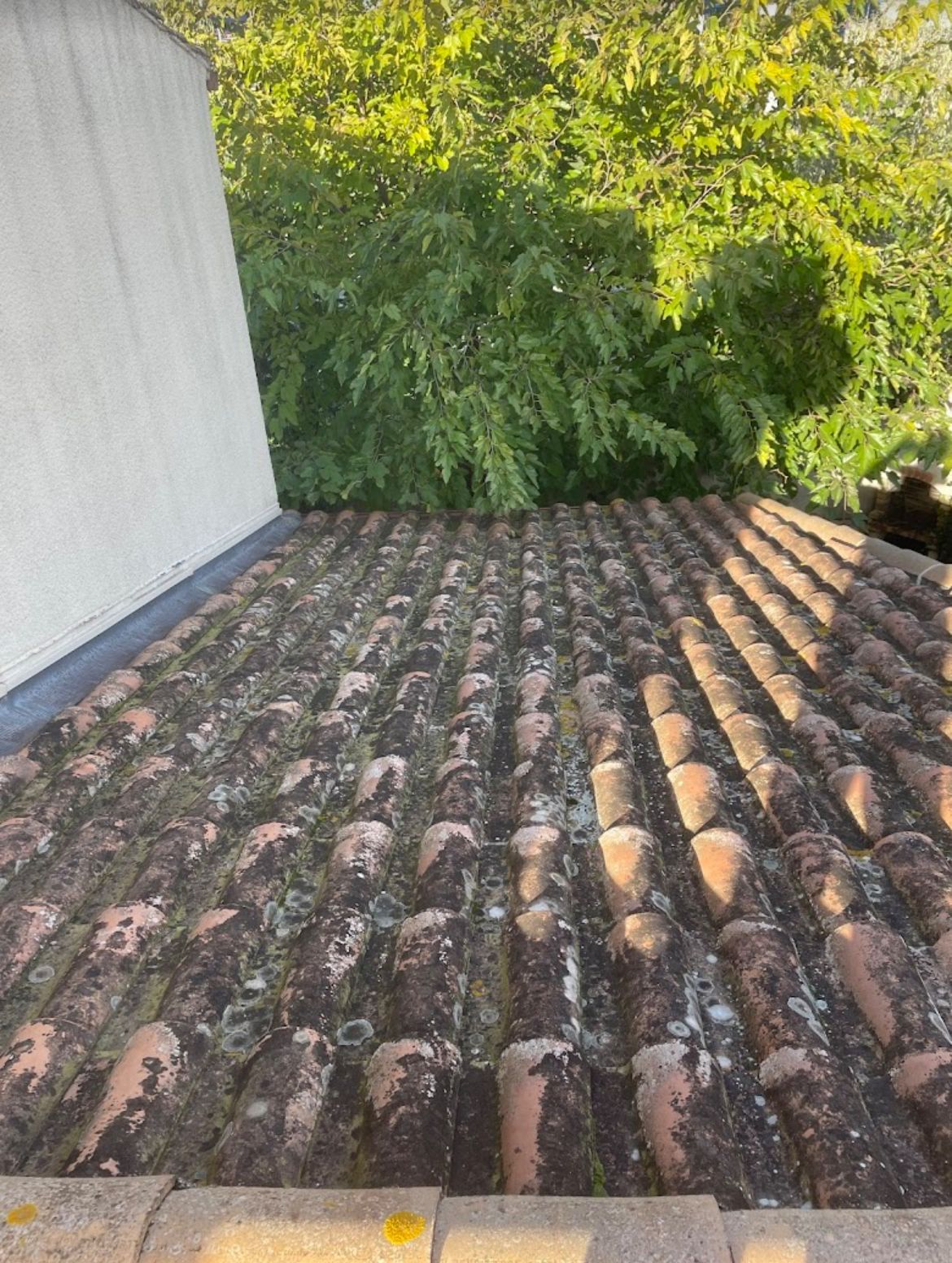 nettoyage toiture avec traitement sur carry le rouet