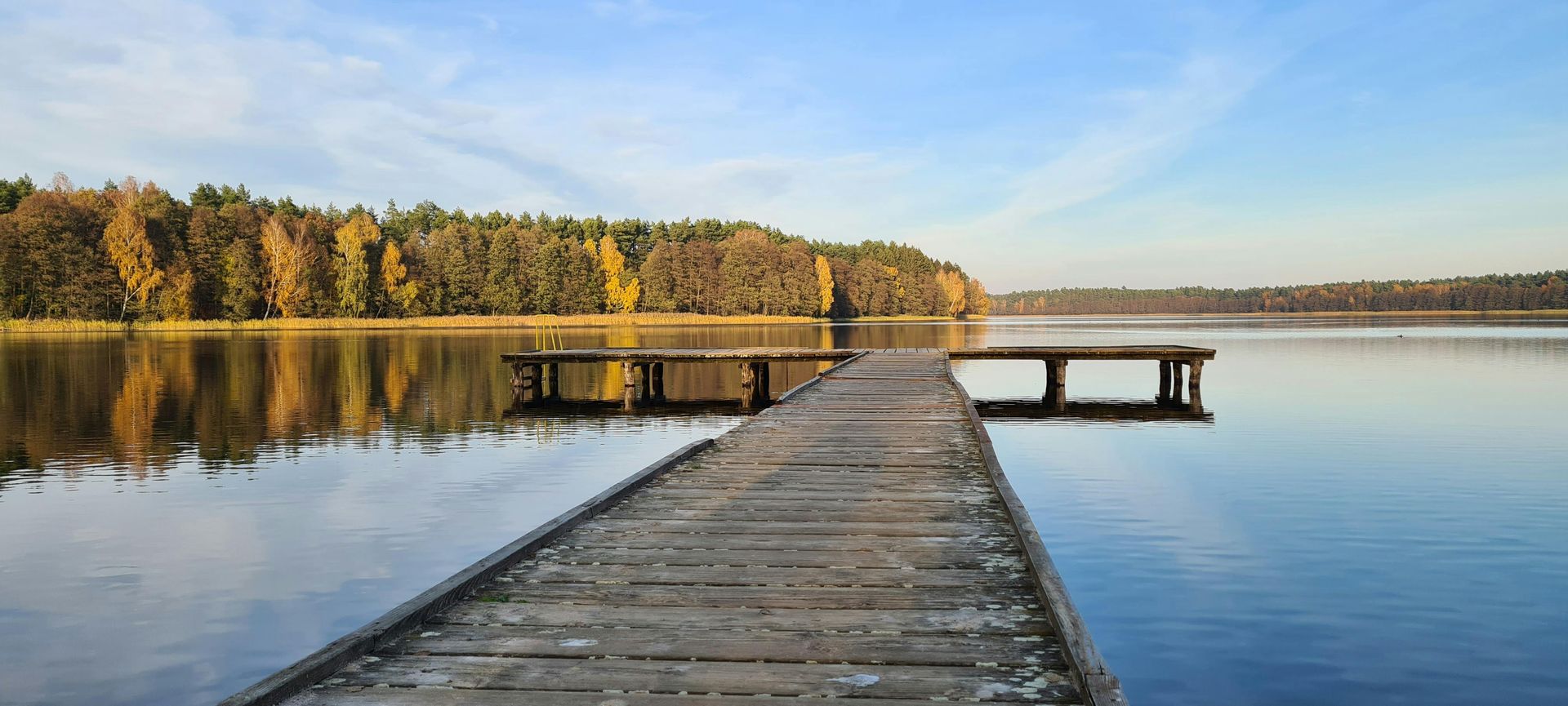 Un muelle de madera se adentra en un lago tranquilo, reflejando los árboles y el cielo azul durante el otoño.