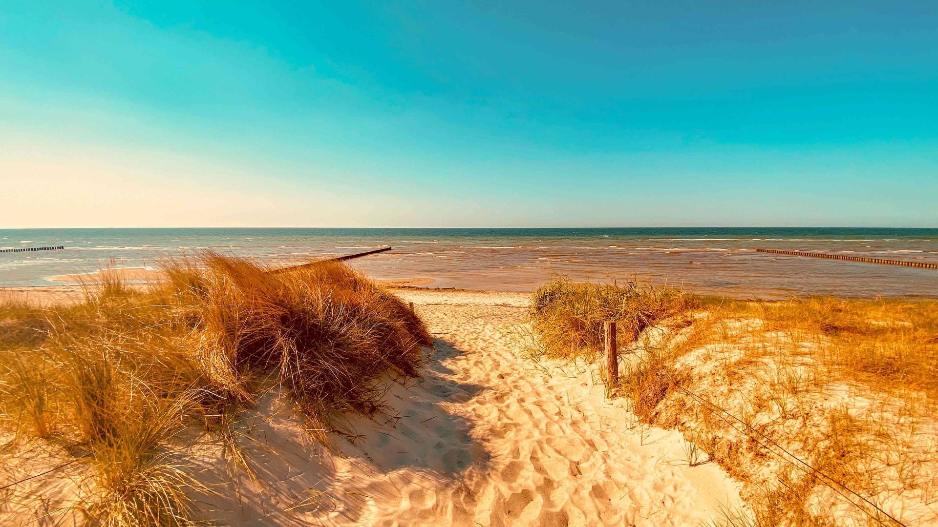 Strand am Schwarzen Busch