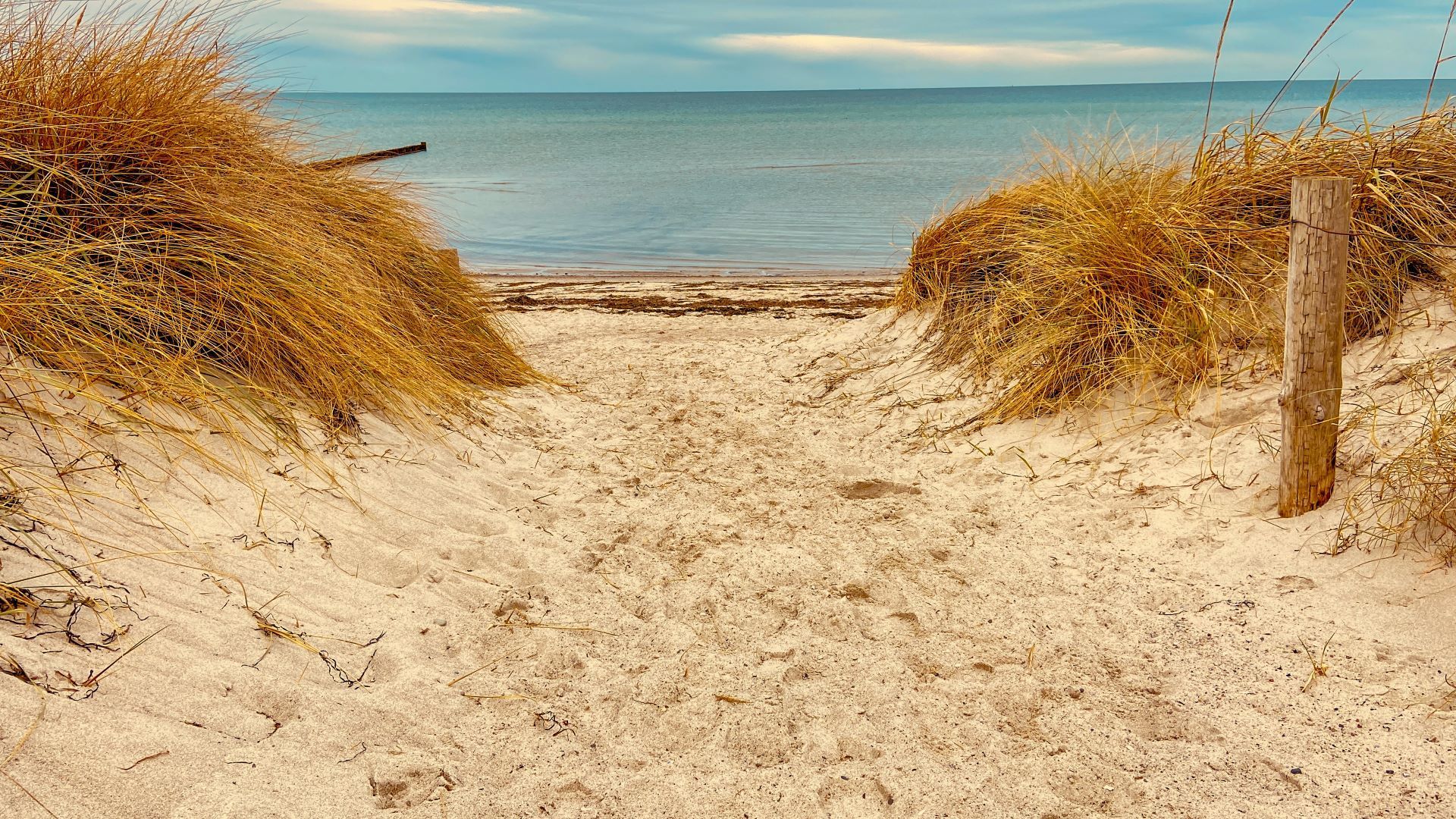 Strand am Schwarzen Busch