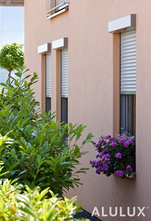 Außenansicht einer pfirsichfarbenen Gebäudewand mit drei geschlossenen Fensterrollläden und einem lila Blumenkasten.