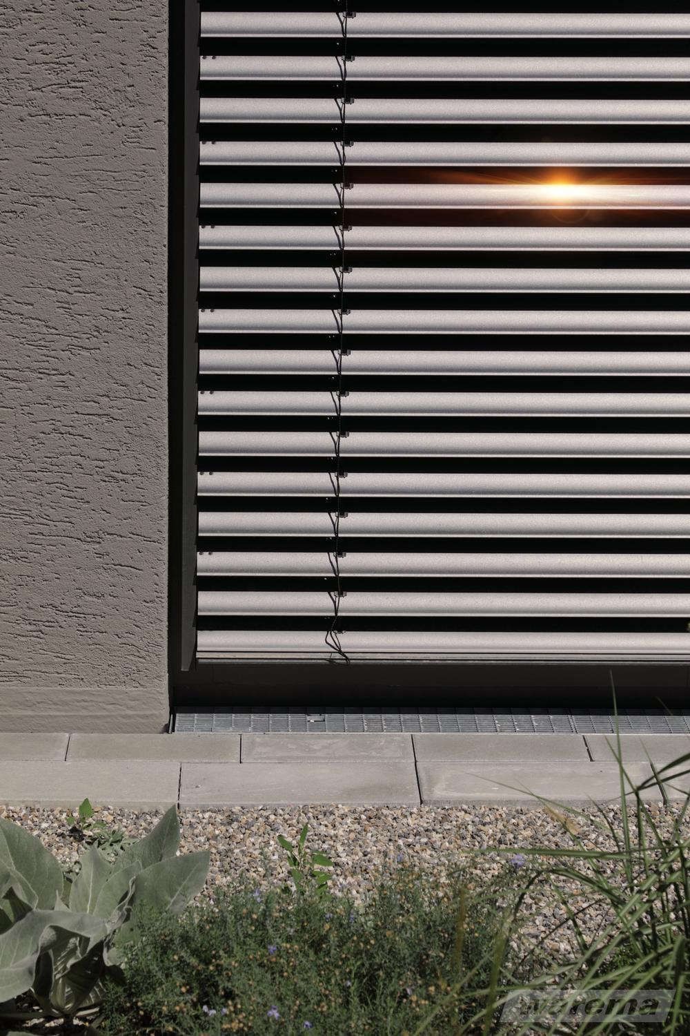 Die Sonne scheint durch die Jalousien eines Fensters.