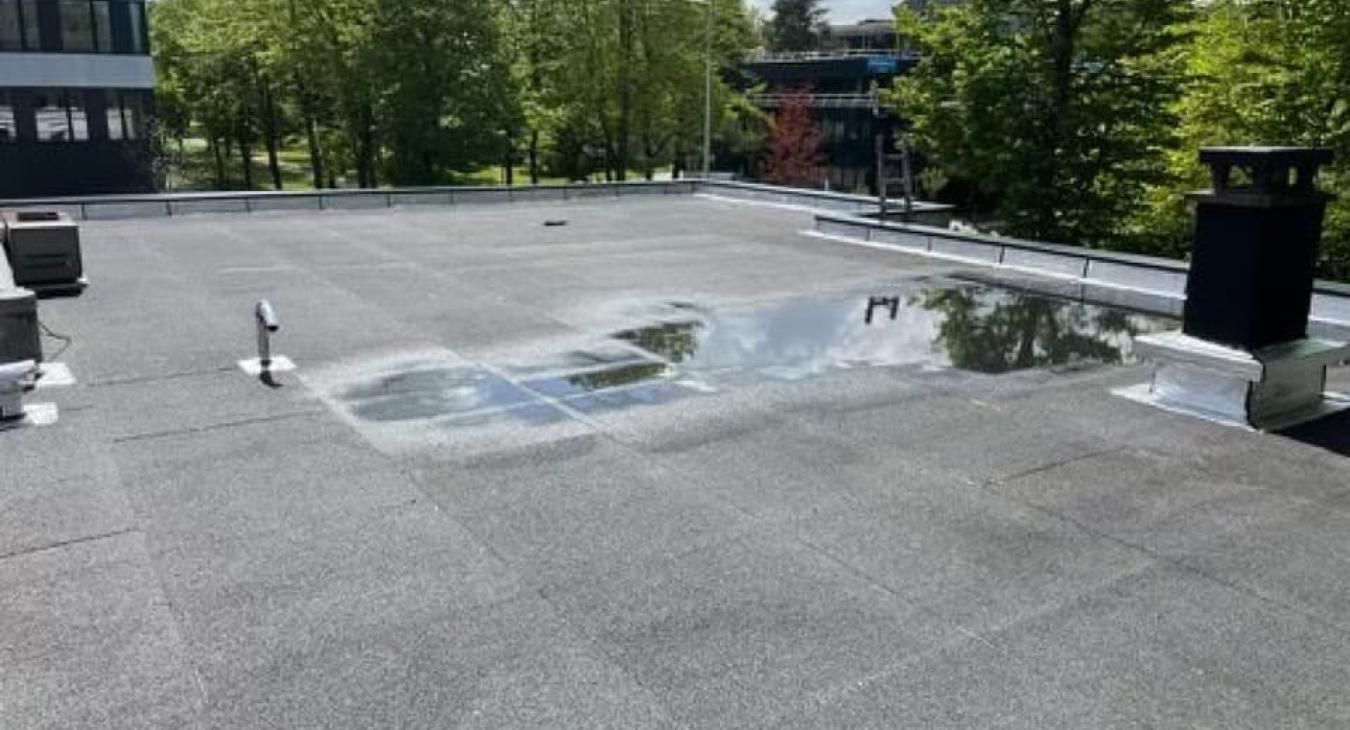 Toit plat et noir avec une grande flaque d'eau reflétant le ciel et les arbres environnants.