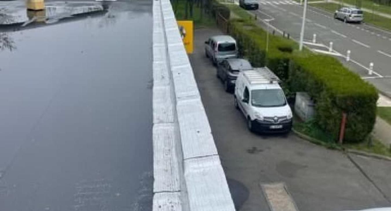 Toit plat noir, véhicules garés sur un trottoir bordé de haies, au bord d'une route.