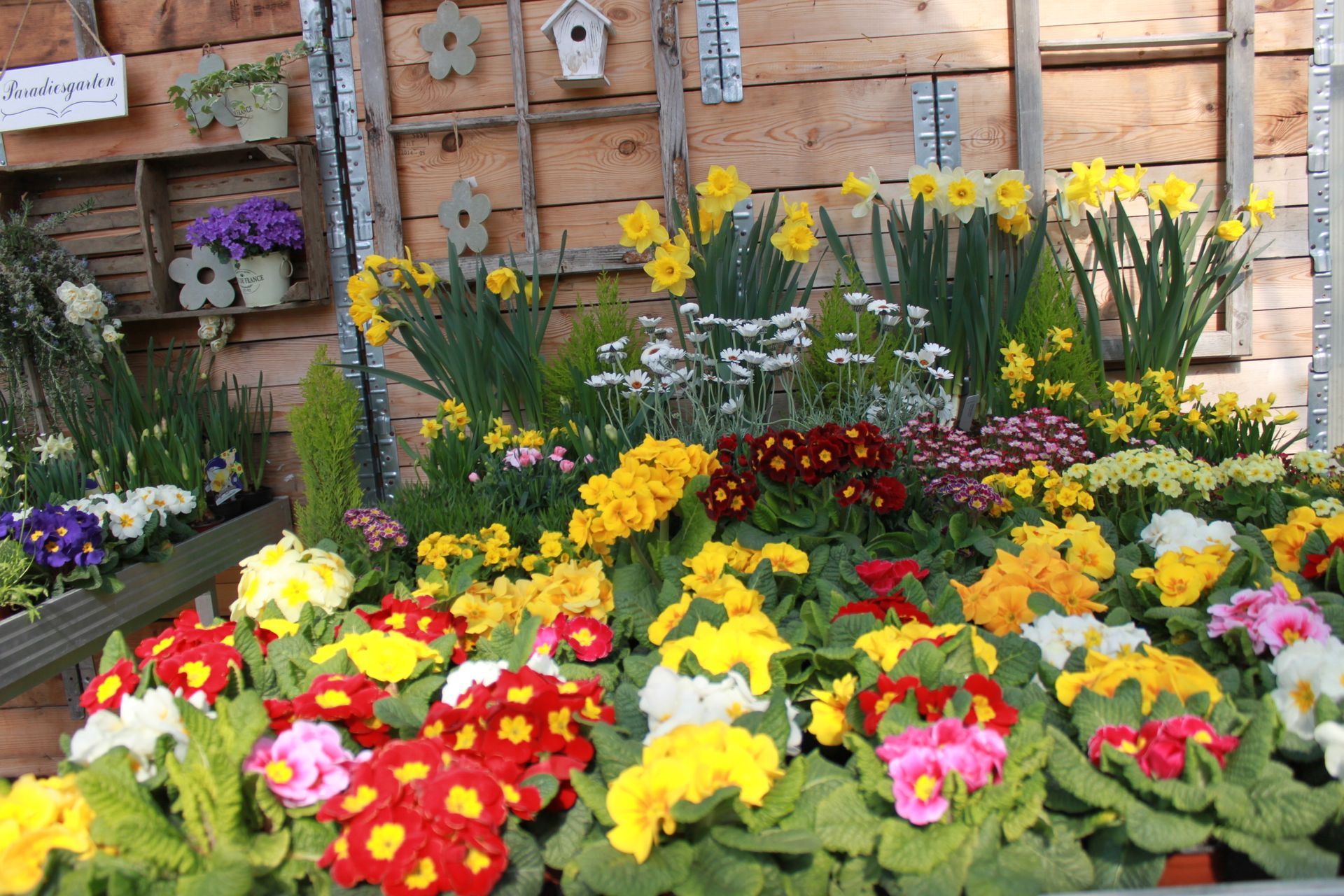 Rohrer Gärtnerei AG