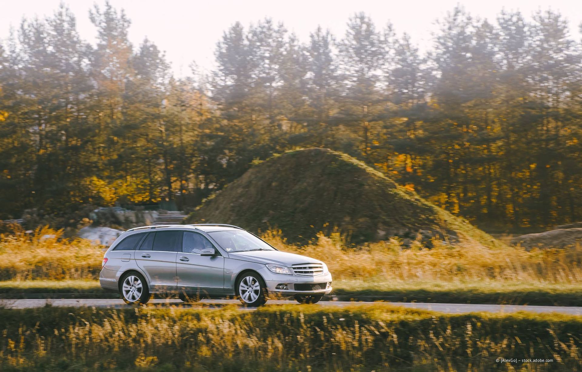 Ein silberner Kombi parkt auf einer Straße, im Hintergrund sind Wald und eine Wiese zu sehen.