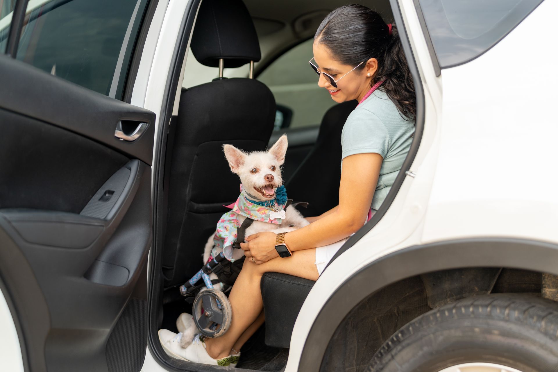 Une femme installe un petit chien blanc sur la banquette arrière d'une voiture blanche, dont la portière est ouverte.