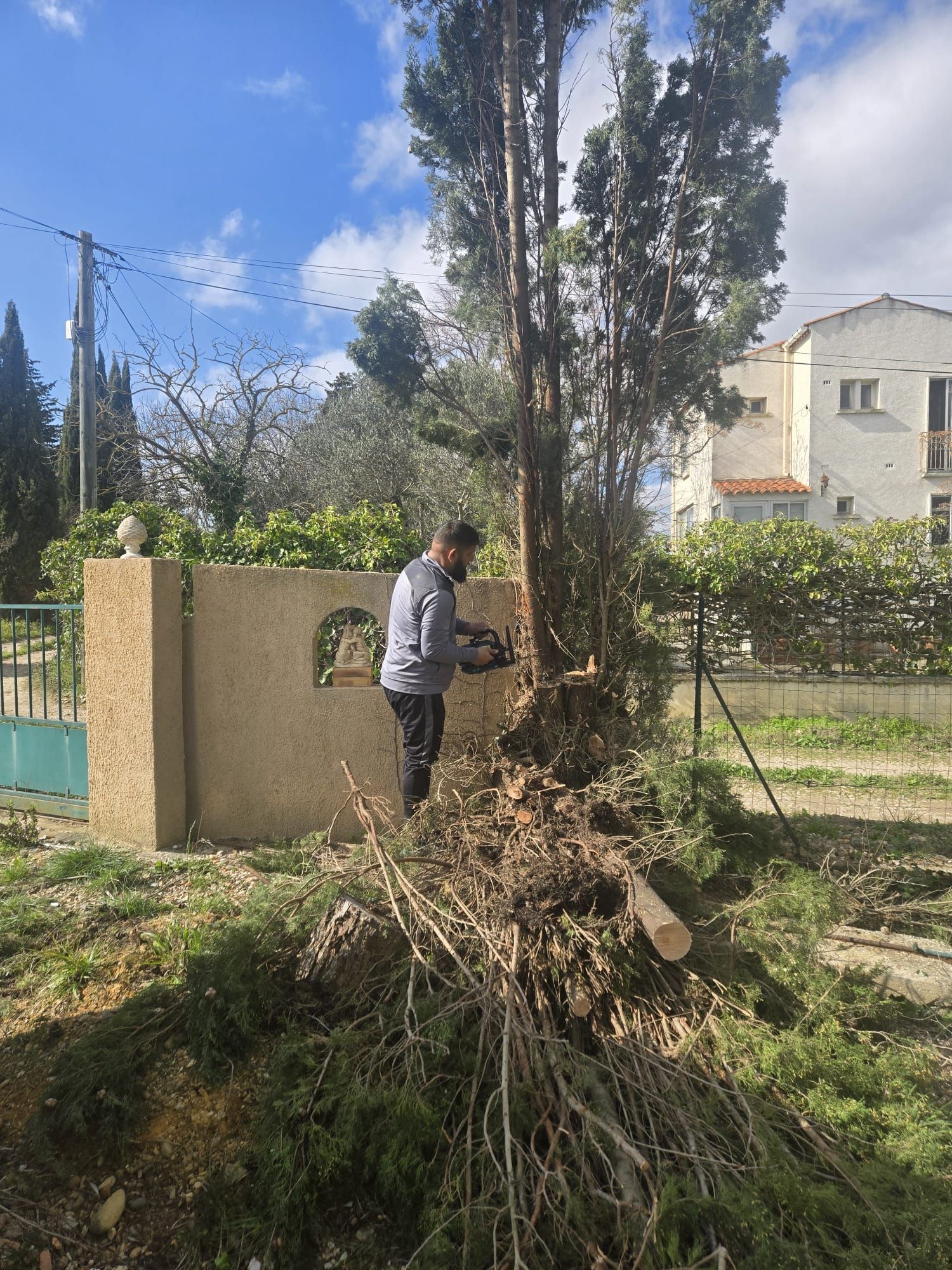 Un taille-haie repose sur une haie de jardin soigneusement taillée, avec une brouette.