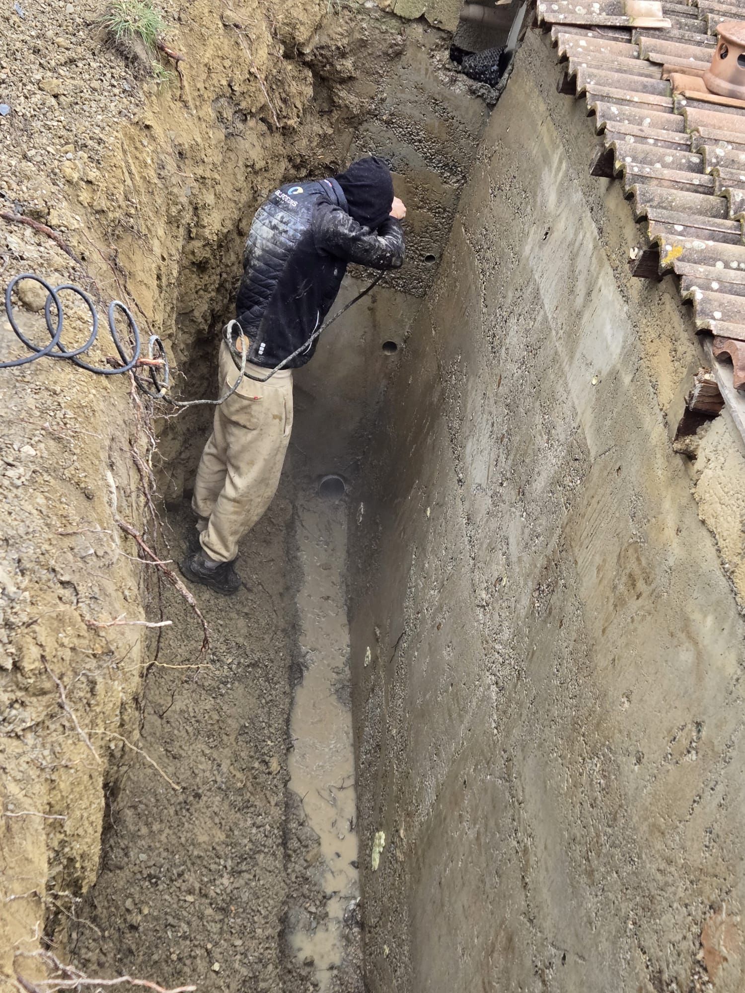 Un taille-haie repose sur une haie de jardin soigneusement taillée, avec une brouette.