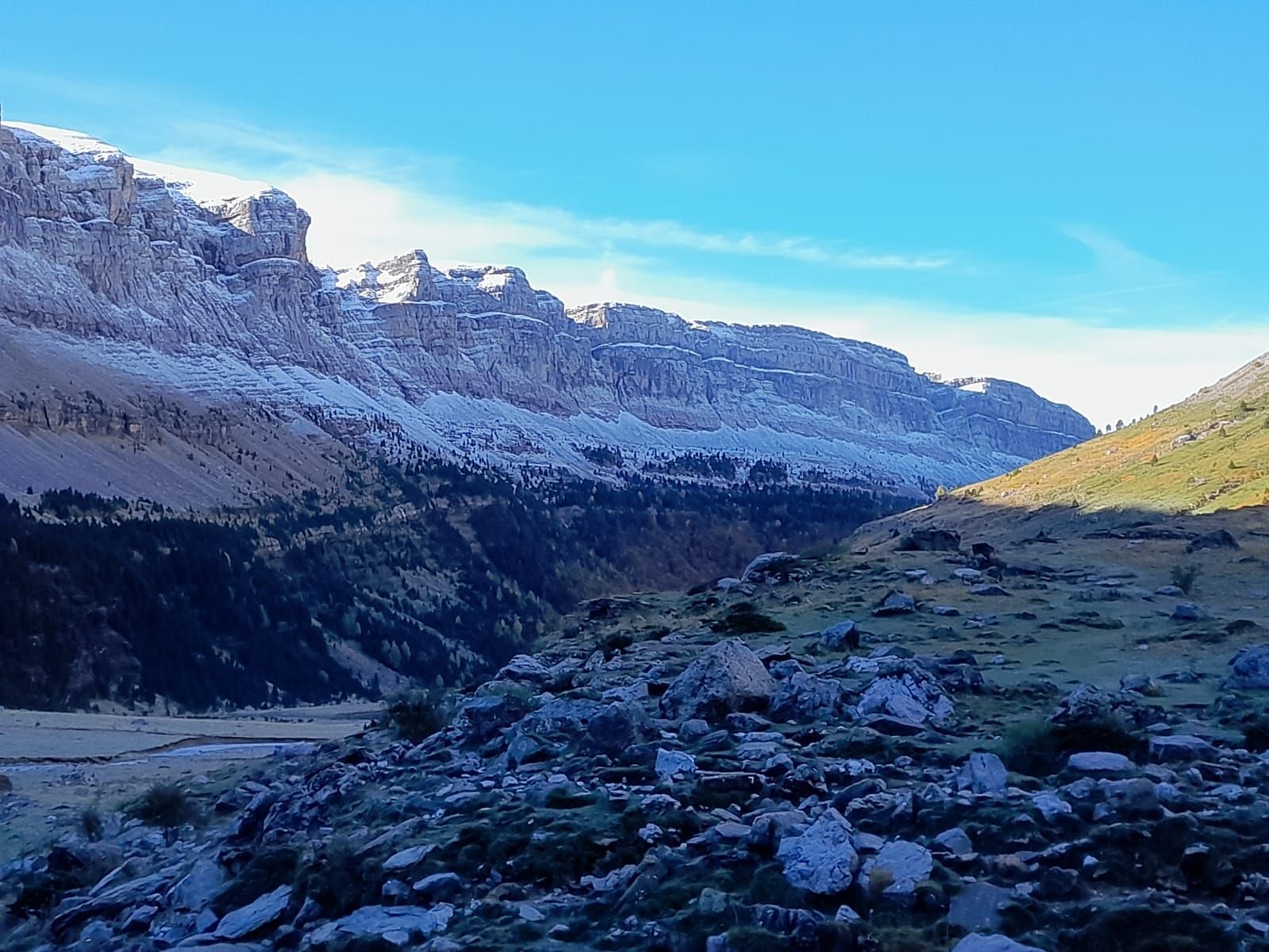 Una montaña cubierta de nieve y árboles con un cielo azul de fondo.