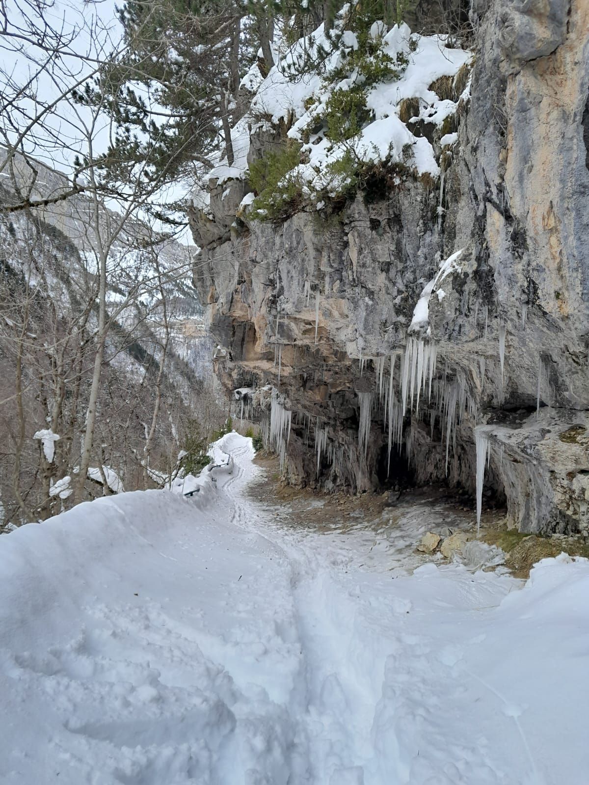 Un camino nevado que conduce a una cueva con carámbanos en las rocas.