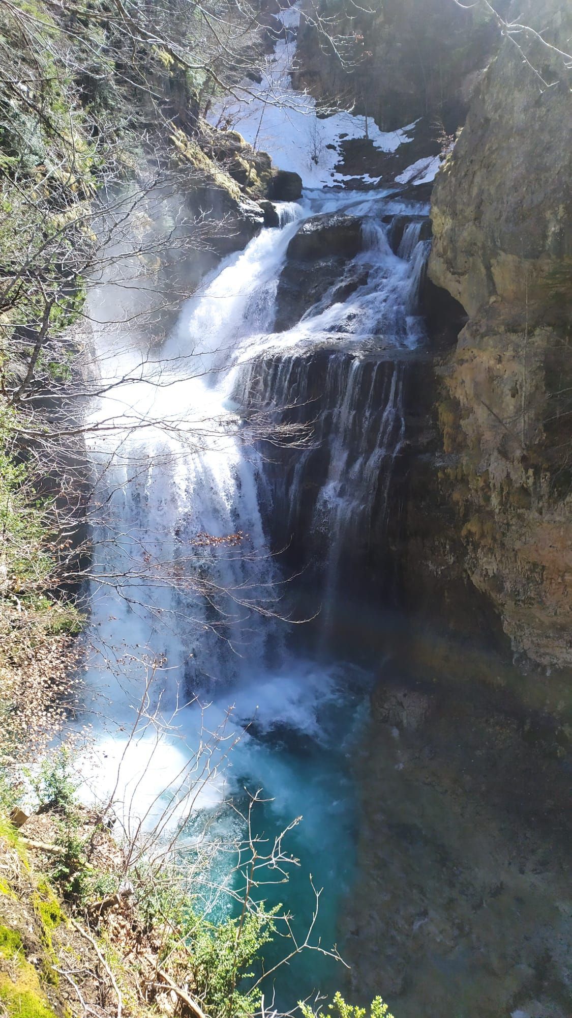 Una cascada está rodeada de árboles y rocas en medio de un bosque.