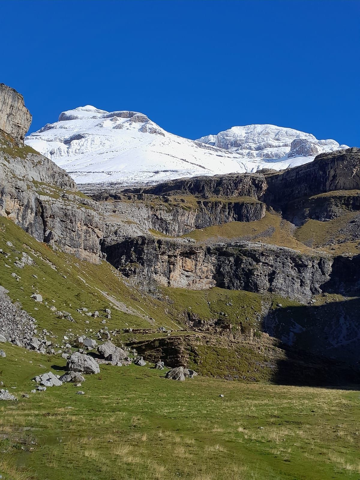 Una montaña cubierta de nieve está rodeada de hierba y rocas.