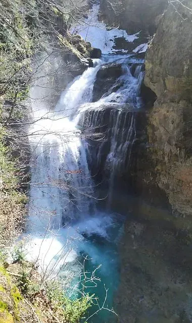 Una cascada está rodeada de árboles y rocas en medio de un bosque.