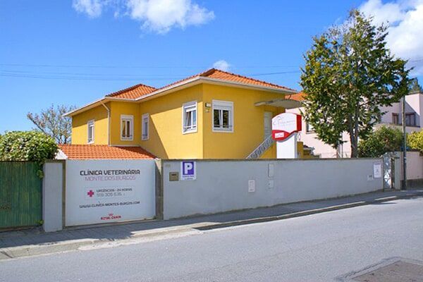 Clínica veterinária Monte dos Burgos