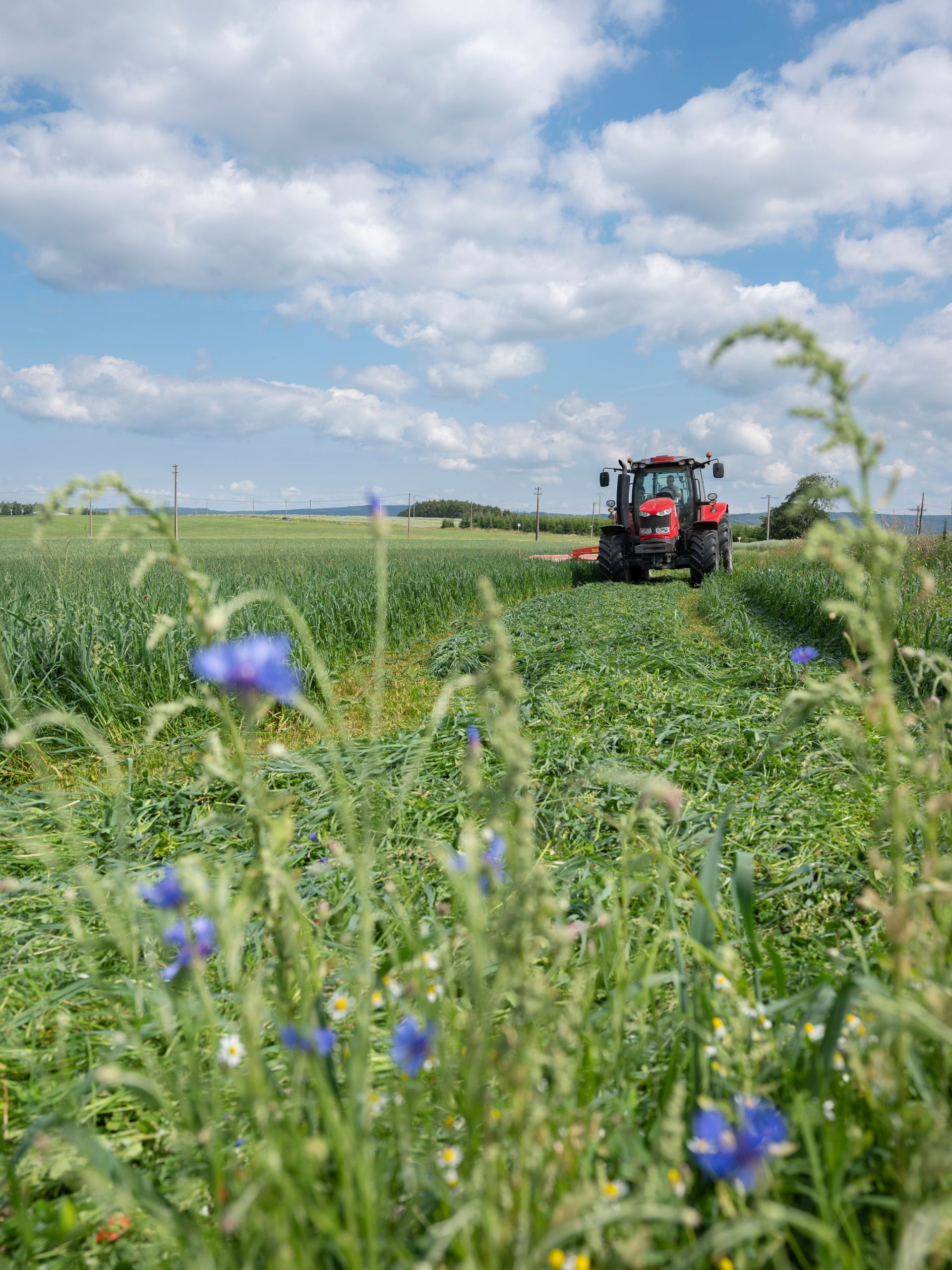 Champ agricole