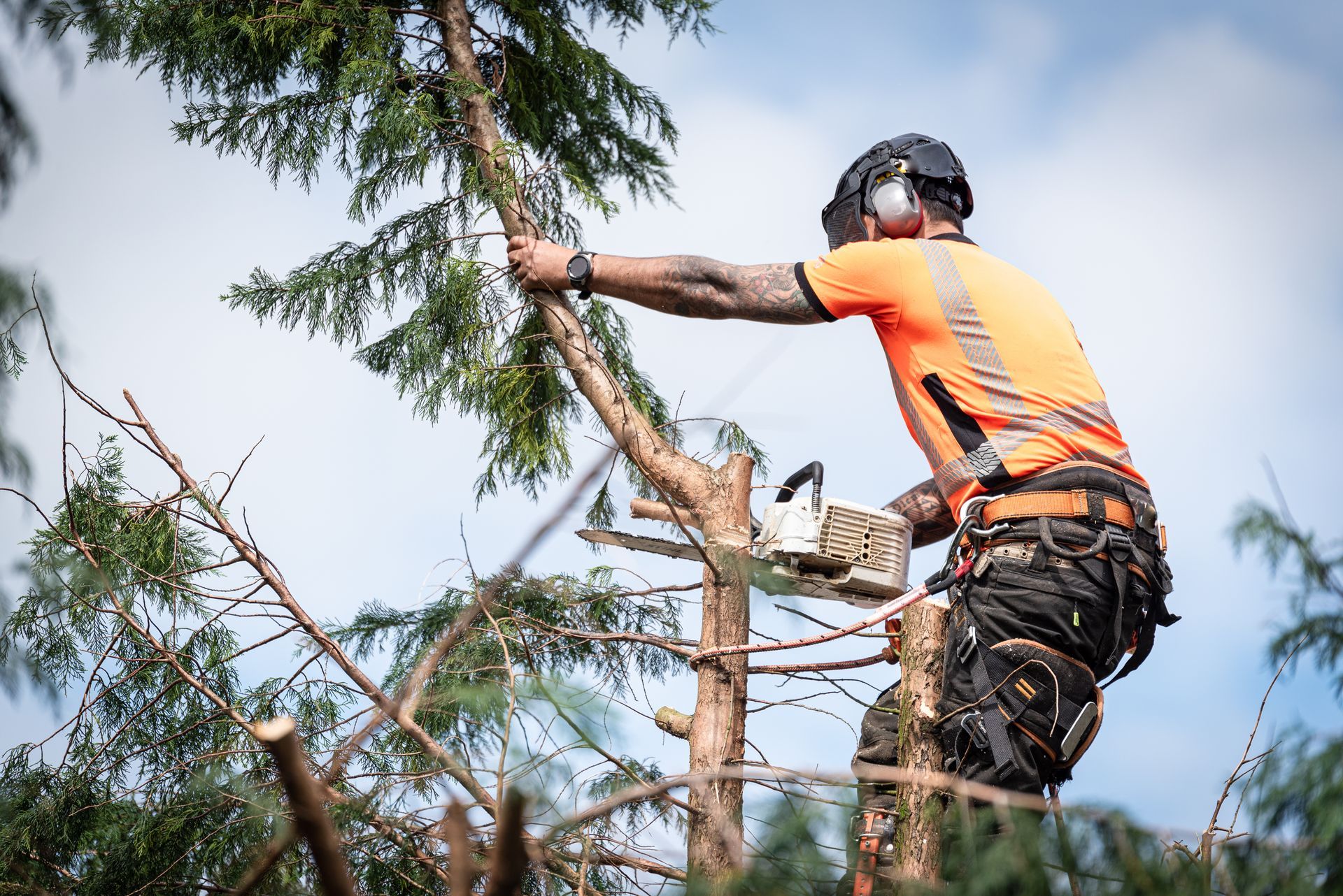 Professionnel avec une tronçonneuse en haut d'un arbre