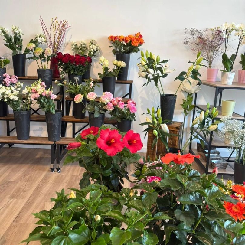 Plantes fleuries en pot et bouquets exposés sur des étagères dans une boutique de fleurs lumineuse