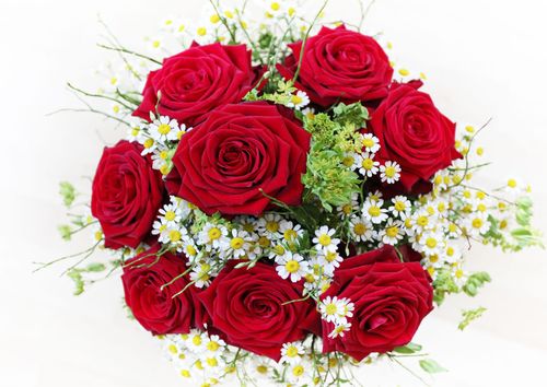 Bouquet de roses rouges avec de petites marguerites blanches et des fleurs jaunes sur fond blanc