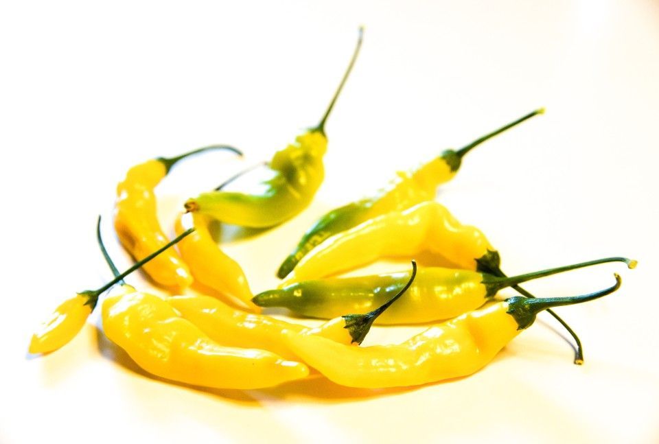 tauvonptauvonpaikkaaikka