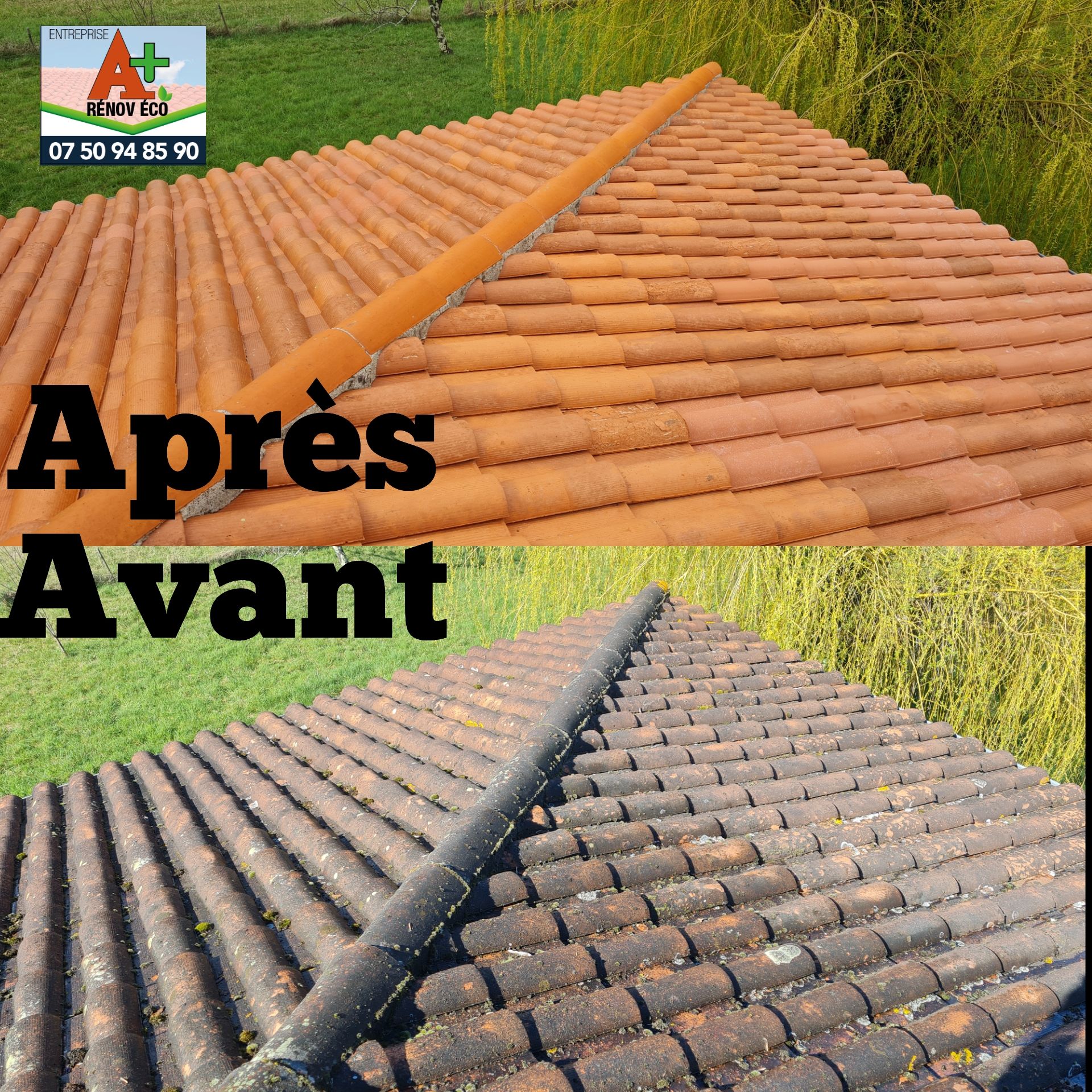 Montage photos avant/suite au démoussage d'une toiture en tuile