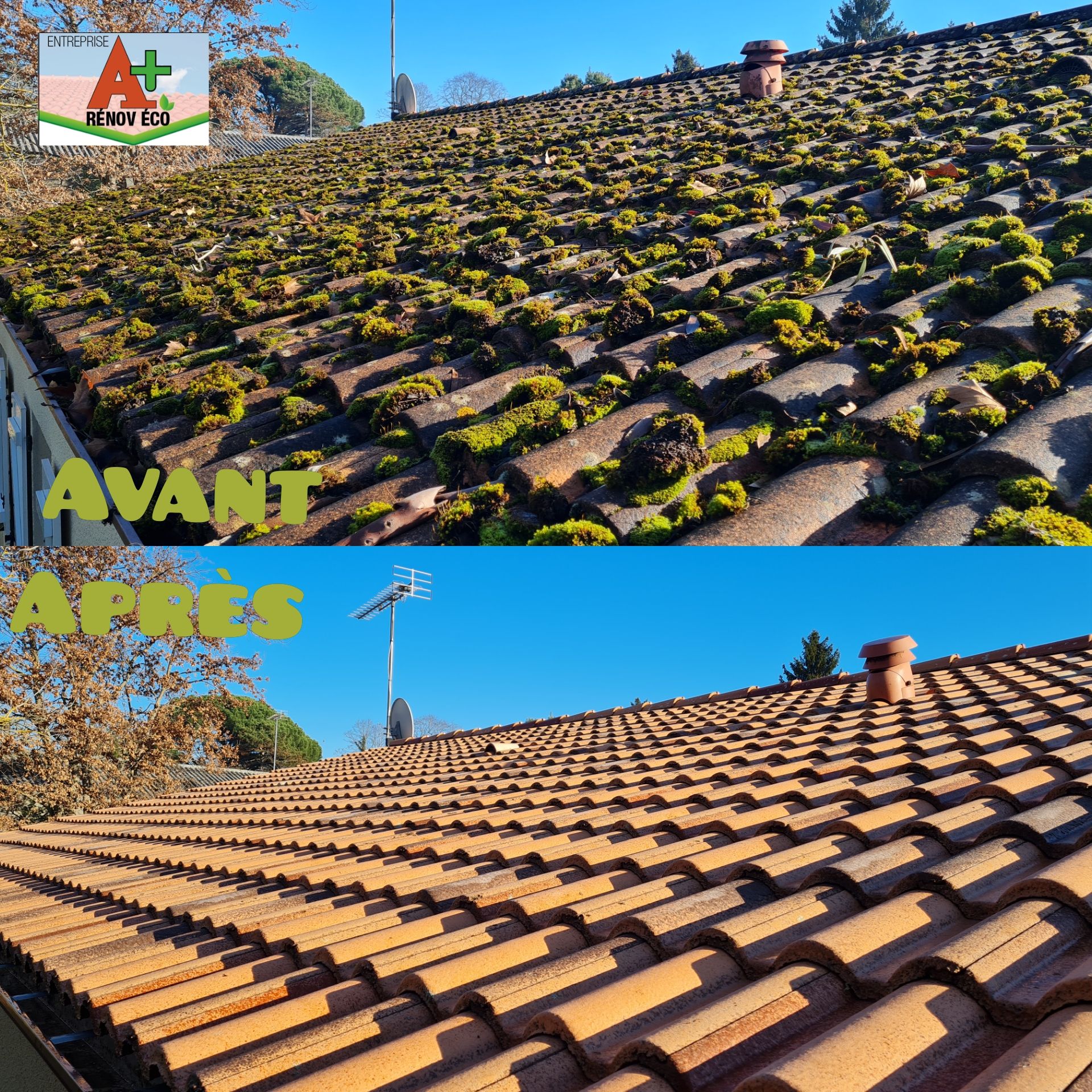 Montage de deux photos avant/après pour un démoussage de tuiles