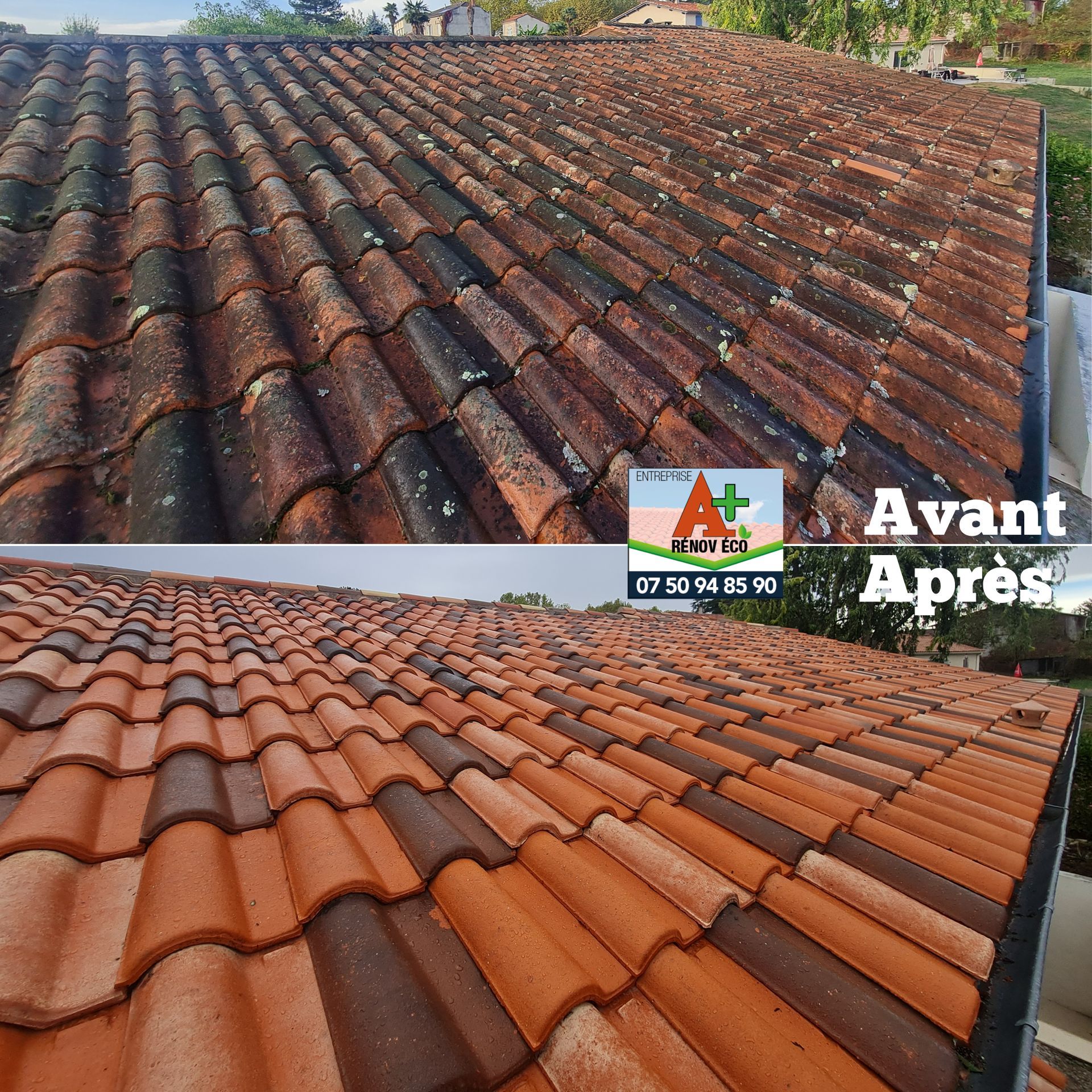 Photos montage d'une toiture avant/après son démoussage
