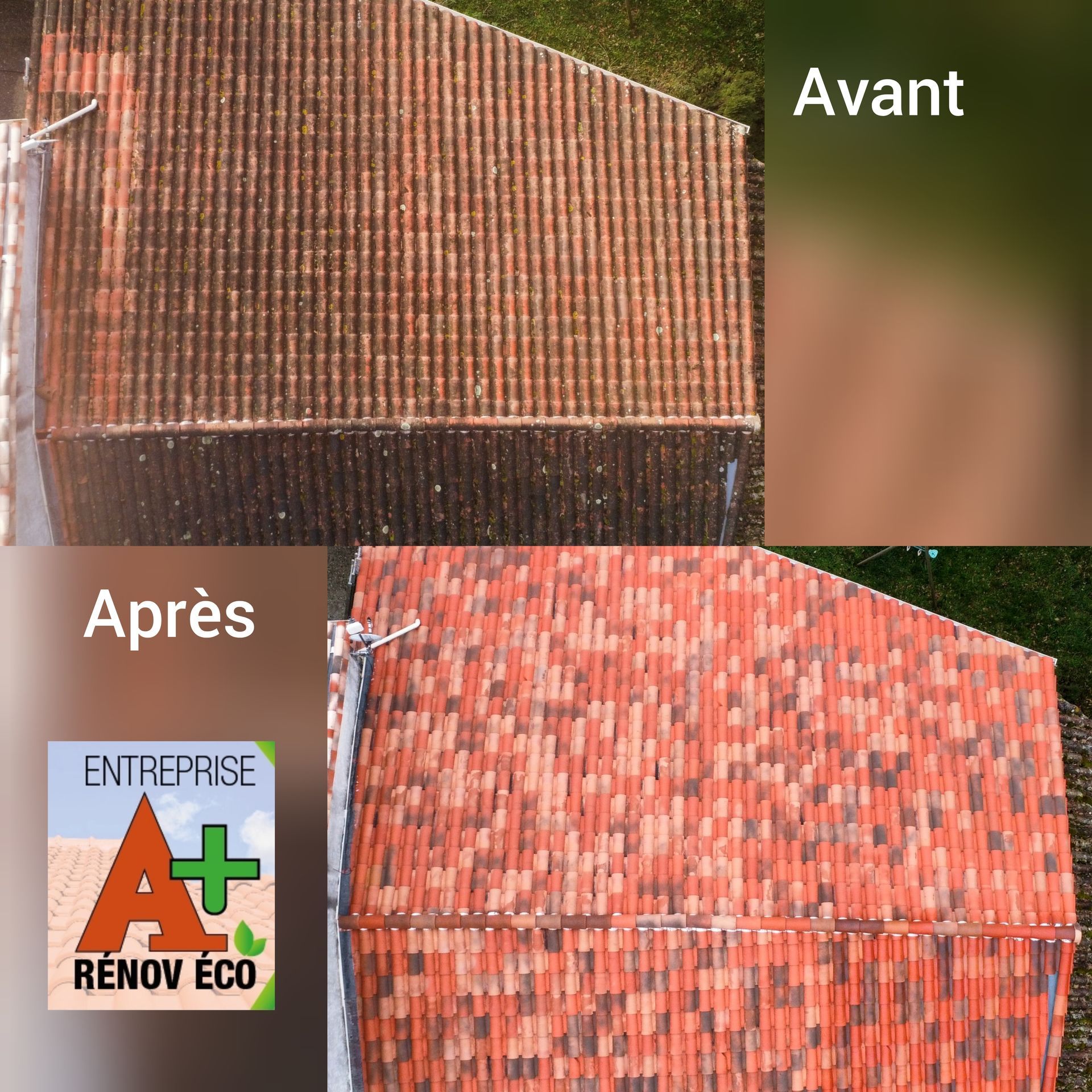 Montage photo d'un nettoyage de tuiles avant/après, logo de l'entreprise A+ Rénov Éco