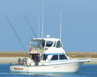 wild rover fishing charters carolina beach nc