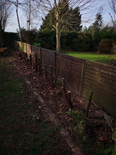 Vieille palissade sans muret