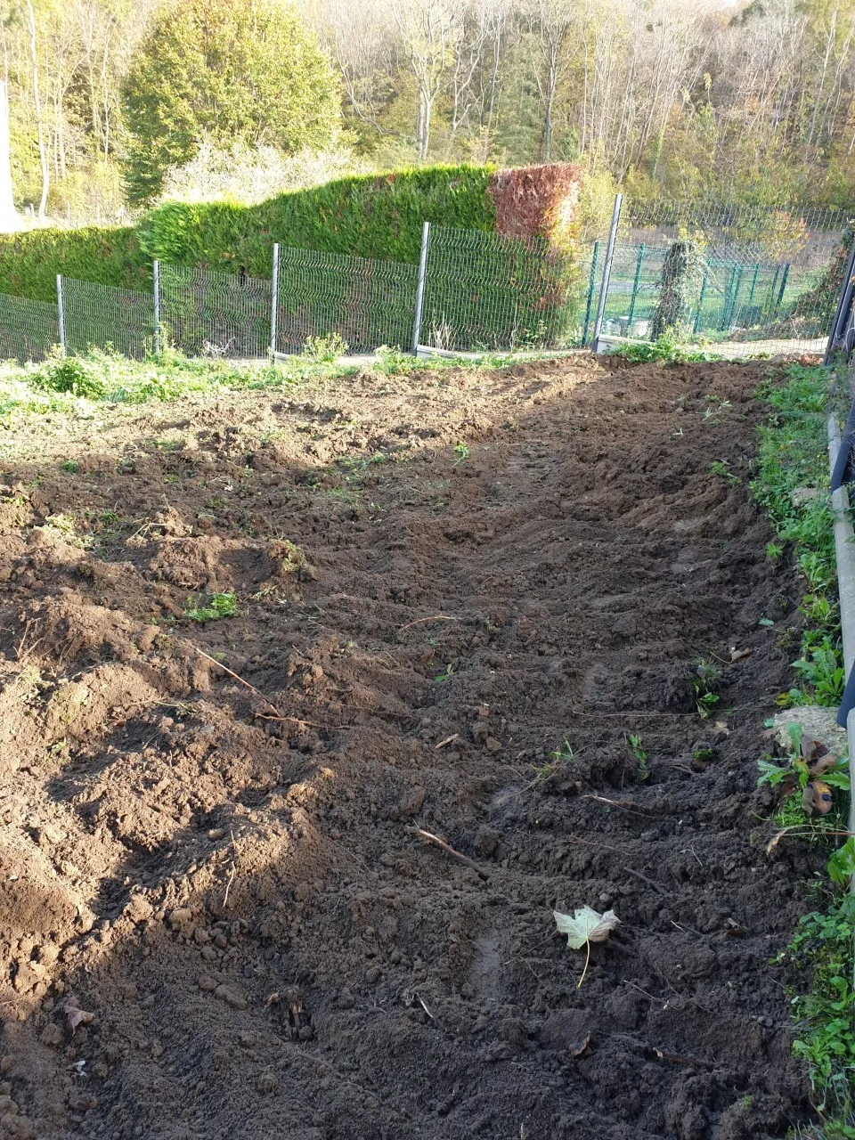 Préparation de terrain avec mini-pelle 4