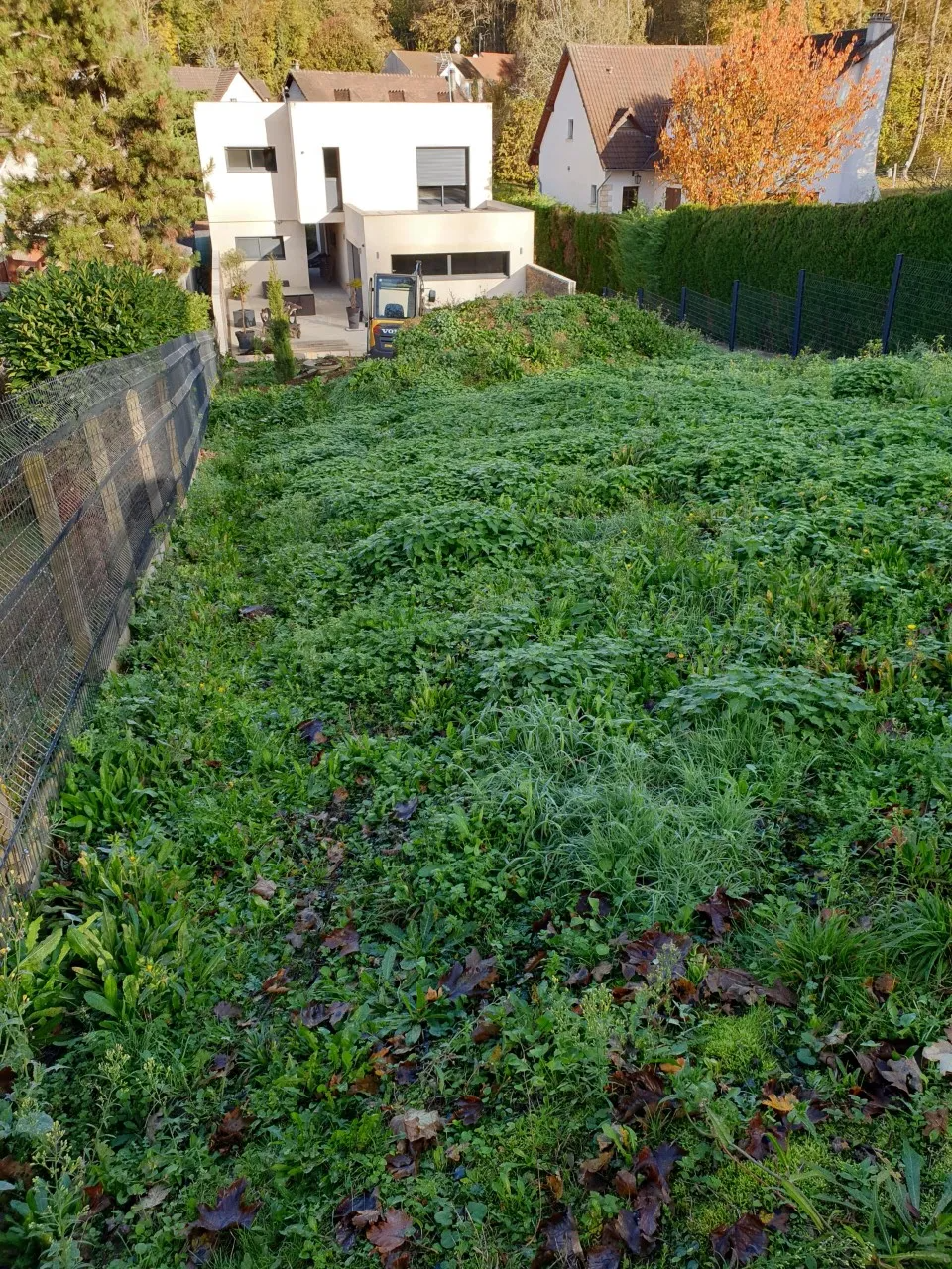 Jardin avant préparation