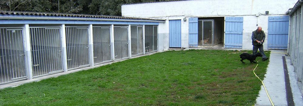 Différents box pour chiens.