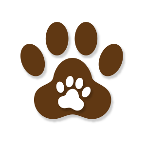 Deux empreintes de chien.