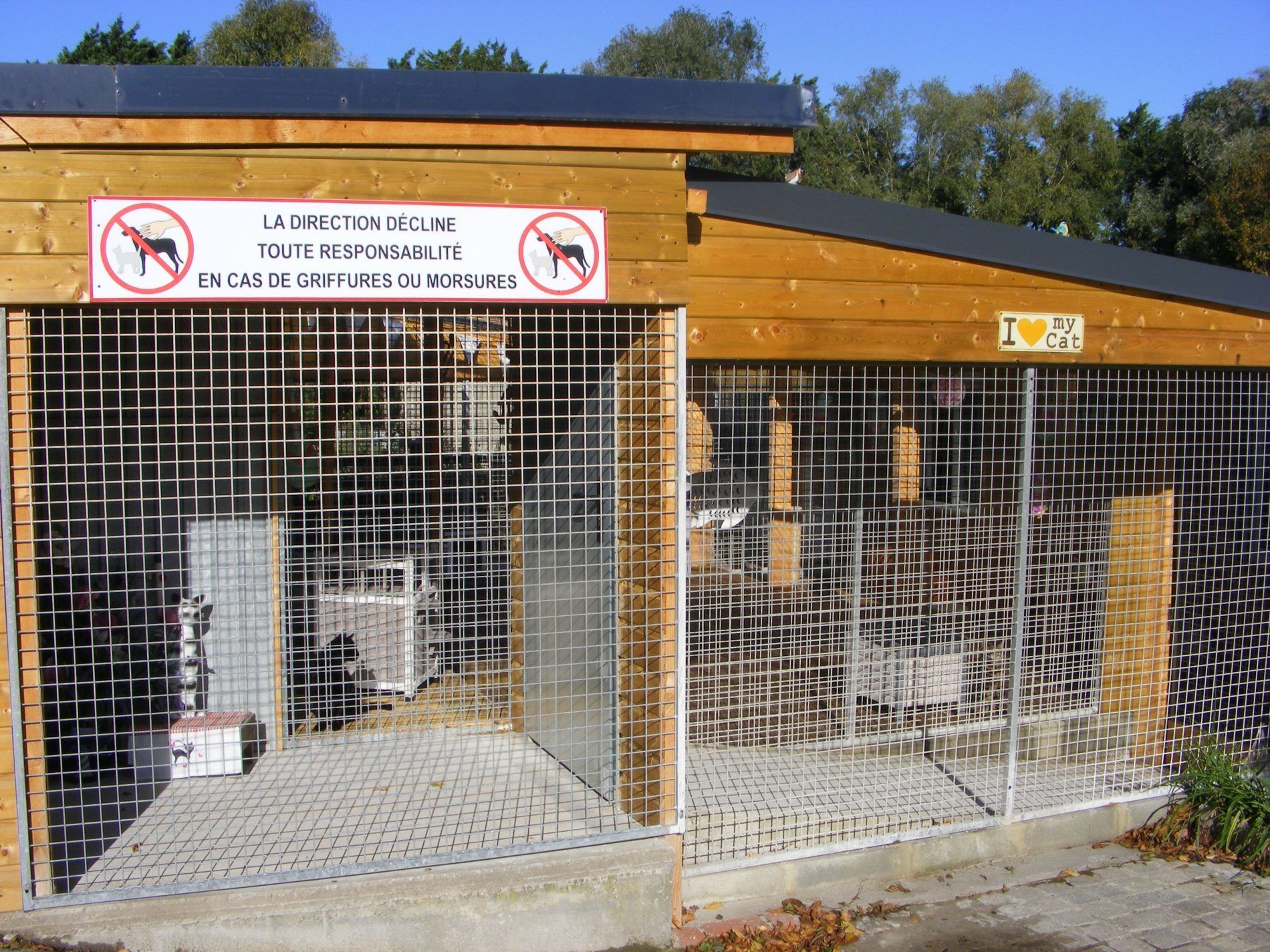 Box extérieurs des chiens.