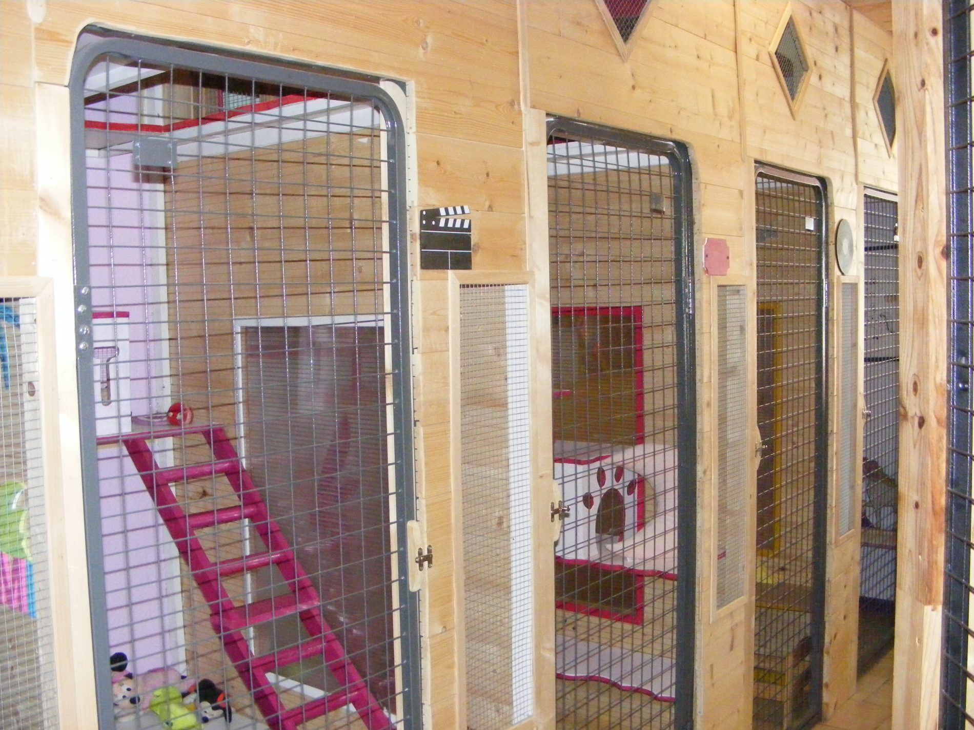 Chatterie, vue des différents box.